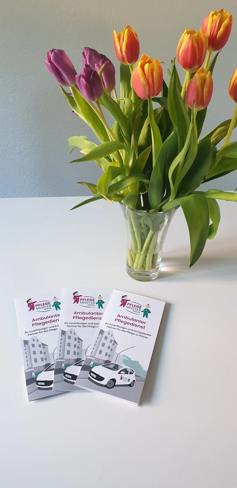 Pflegemeister-Berlin – Bild 3