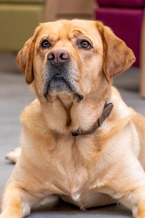 Pflege mit Kraft – Bild 1