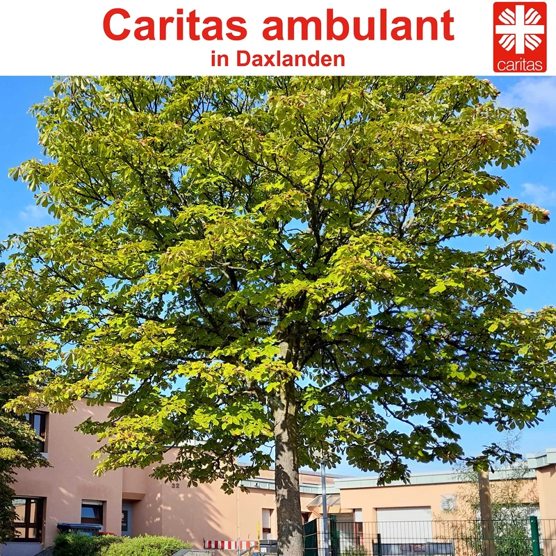 Caritas ambulant Pflege- und Betreuungsdienst – Bild 1