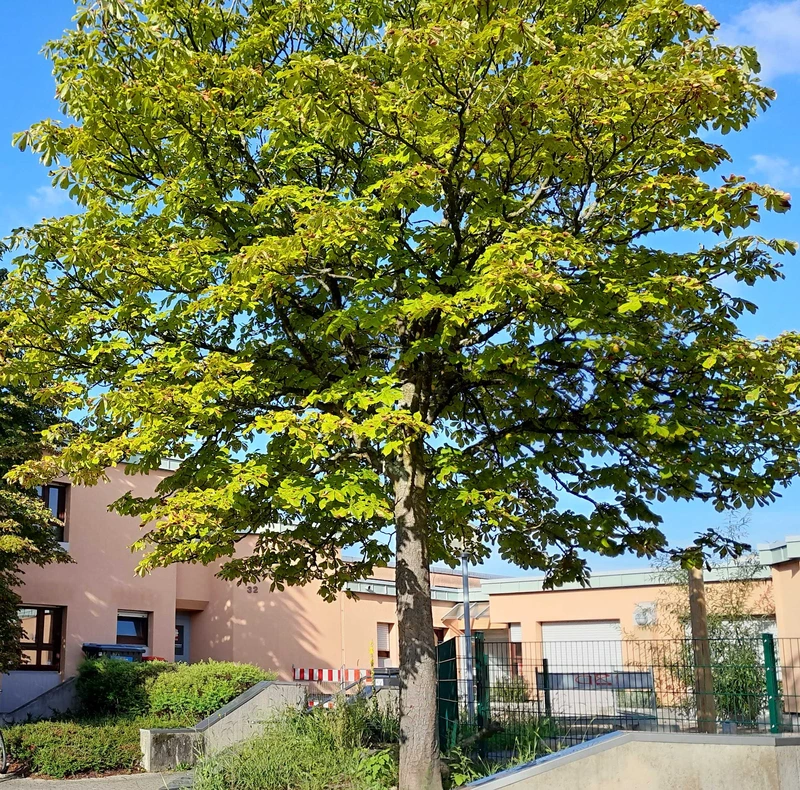 Caritas ambulant Pflege- und Betreuungsdienst – Bild 5