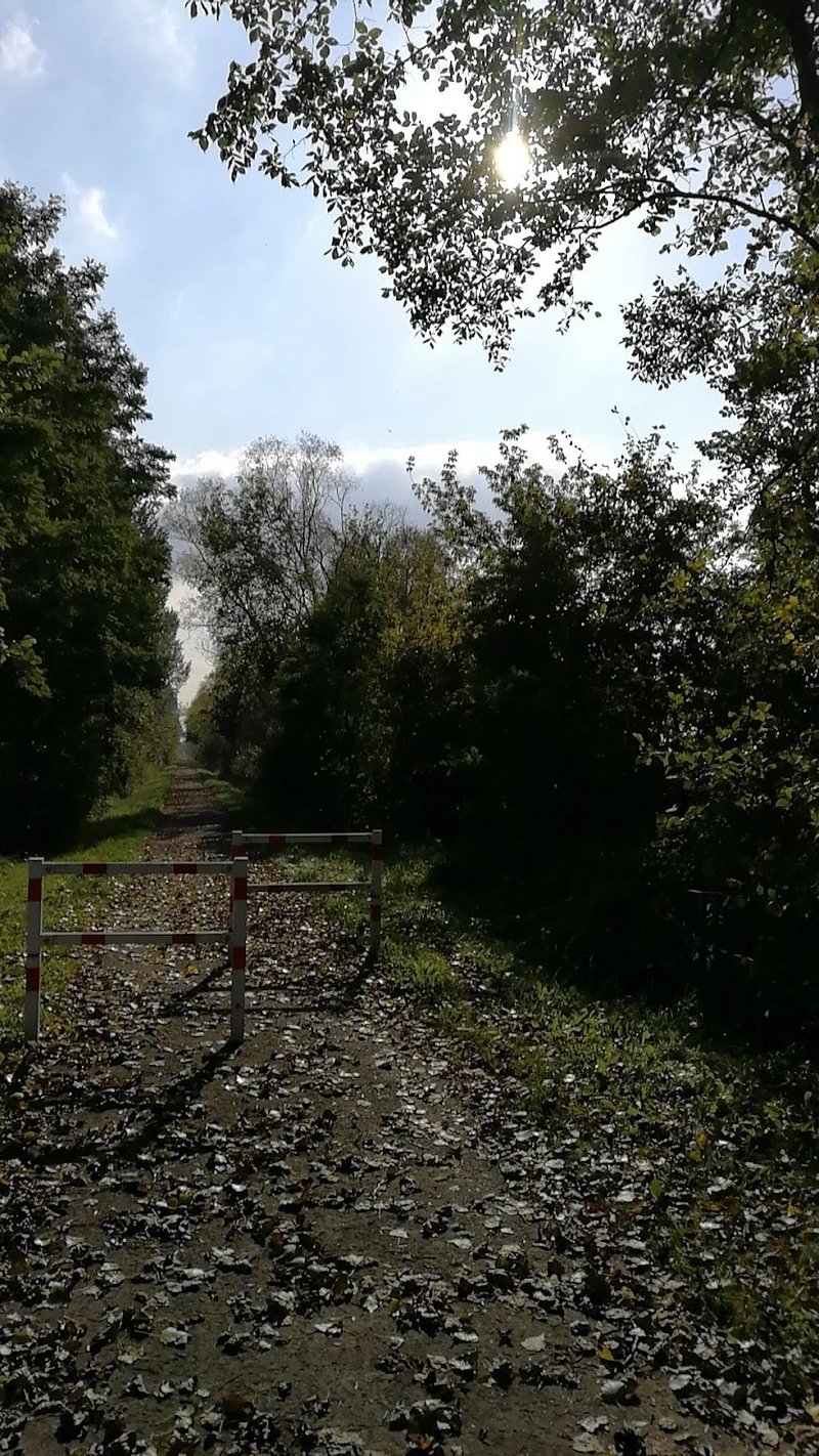 Häusliche Pflege und Betreuung by Michael Pfister – Bild 1