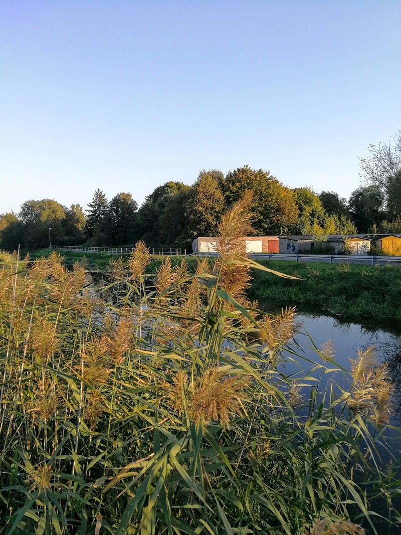 Häusliche Pflege und Betreuung by Michael Pfister – Bild 2