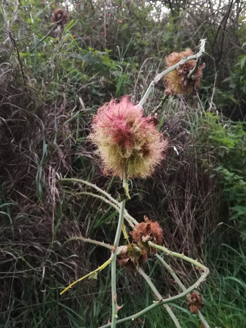 Häusliche Pflege und Betreuung by Michael Pfister – Bild 5