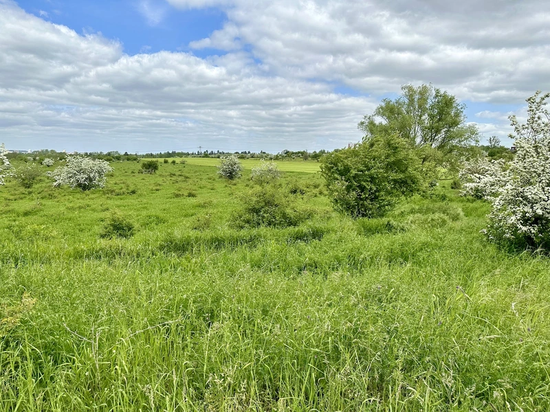 Häusliche Krankenpflege Angela Wiesener – Bild 4
