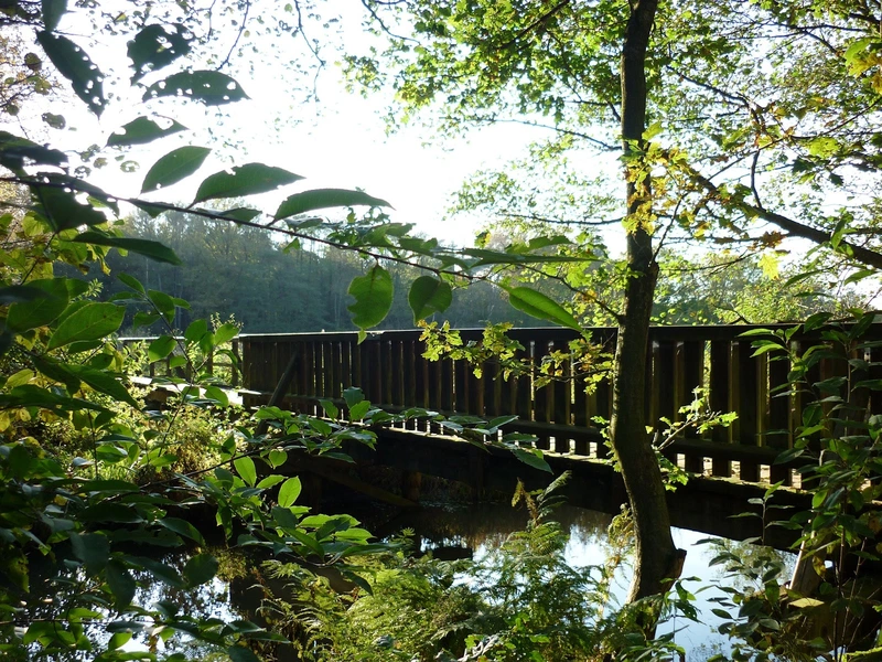 Pflegedienst Örtzetal – Bild 5