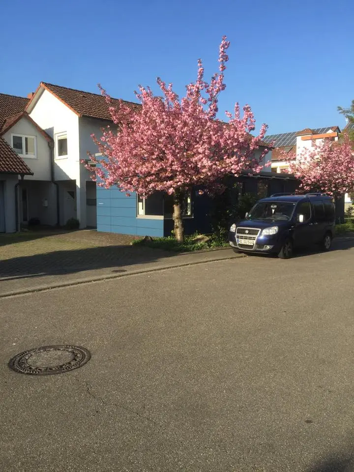 Pflegedienst Glück Zühal Ücöz – Bild 2