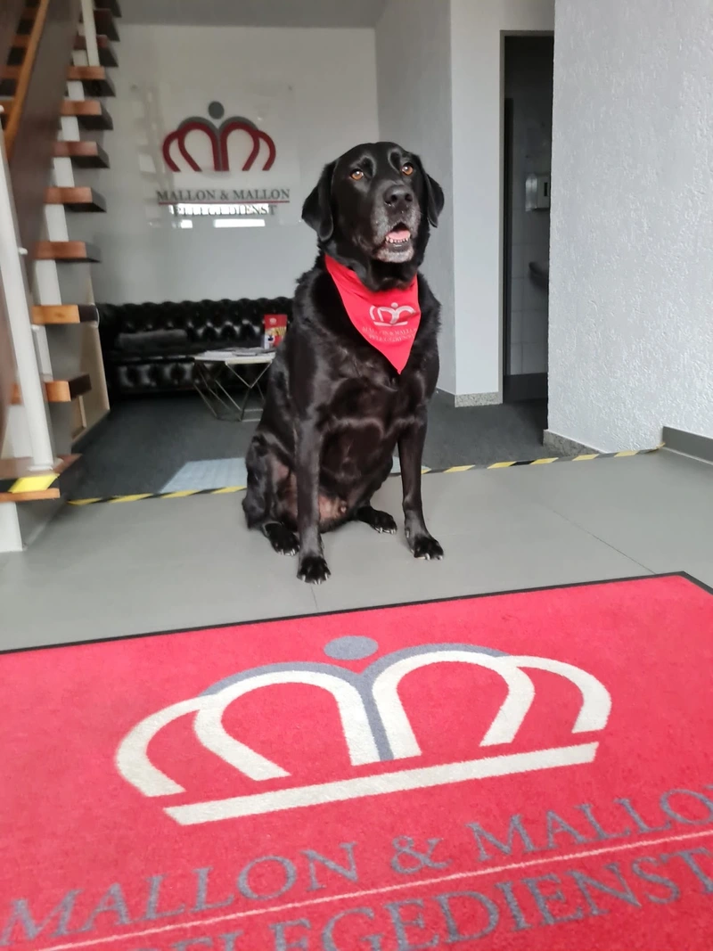 Mallon & Mallon Pflege Schwalmtal – Bild 1