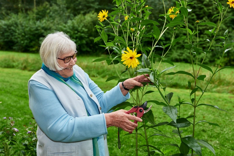 Altenwerk Schloss Hamborn Ambulanter Pflegedienst – Bild 1