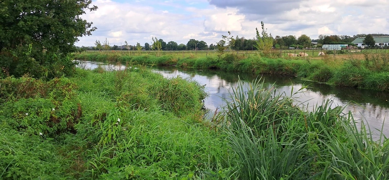 Haus Golten – Bild 4