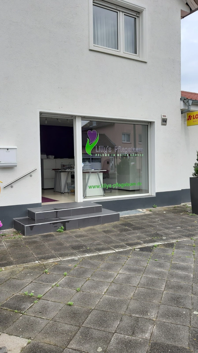 Lillys Pflegeteam – Bild 1