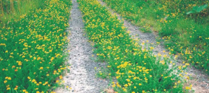 Diakoniestation Nagold – Bild 3