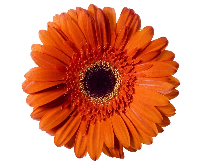 Pflegedienst Lounes – Bild 1