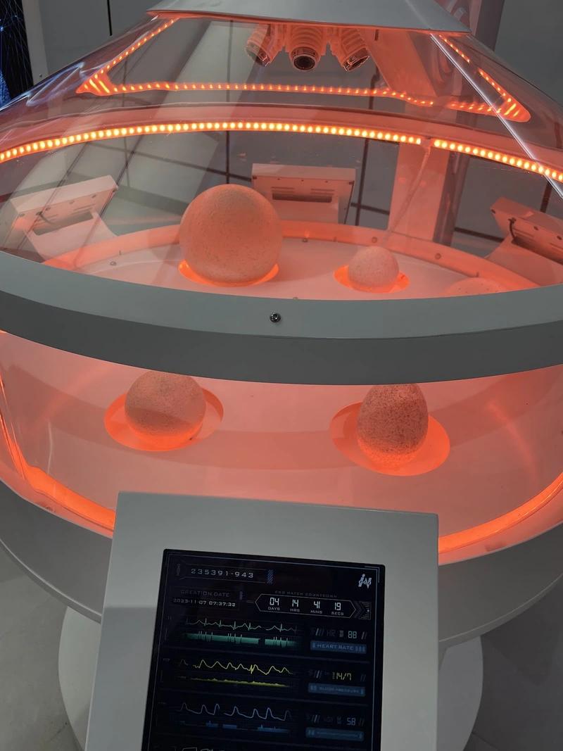 AKB - Ambulante Kompetente Betreuung – Bild 3