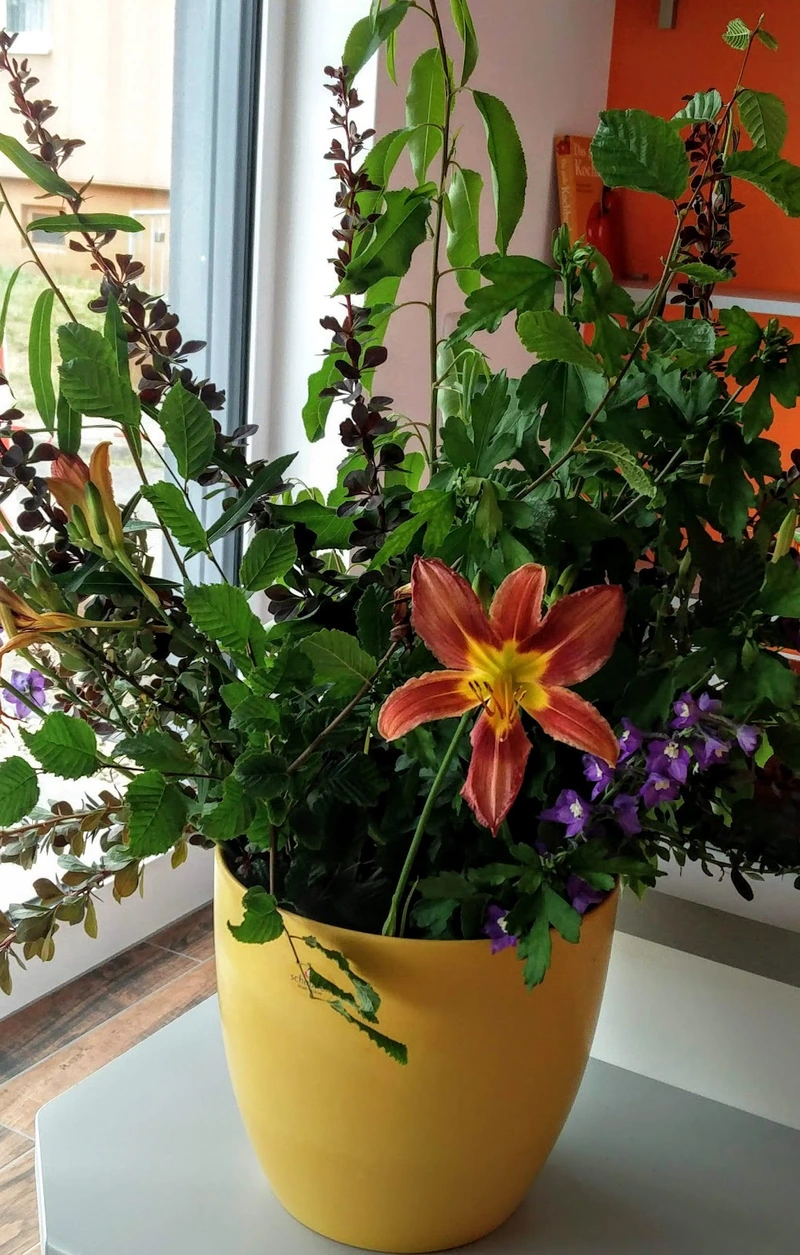 Sozialstation der VS Süd-Brandenburg e. V. – Bild 2