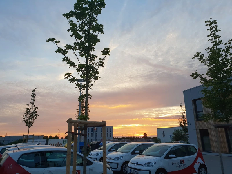 Pflege im Quadrat Betreuungsdienste – Bild 3