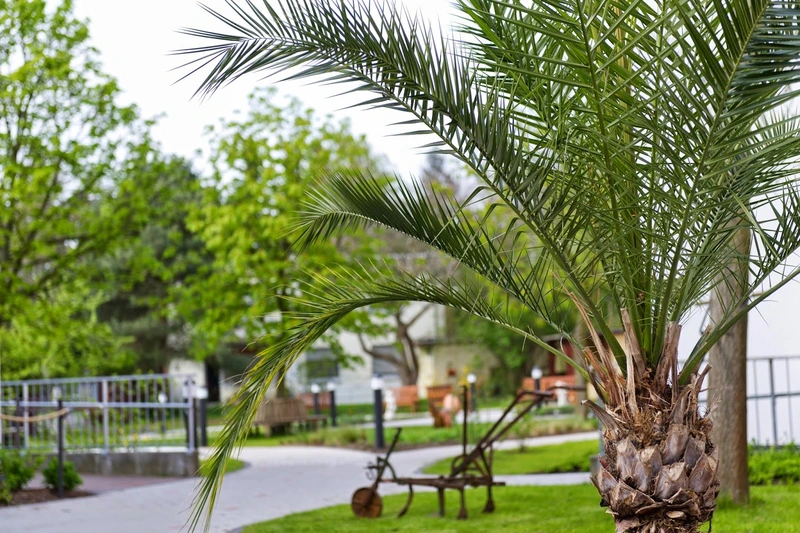 Matthias-Pullem-Haus – Bild 4