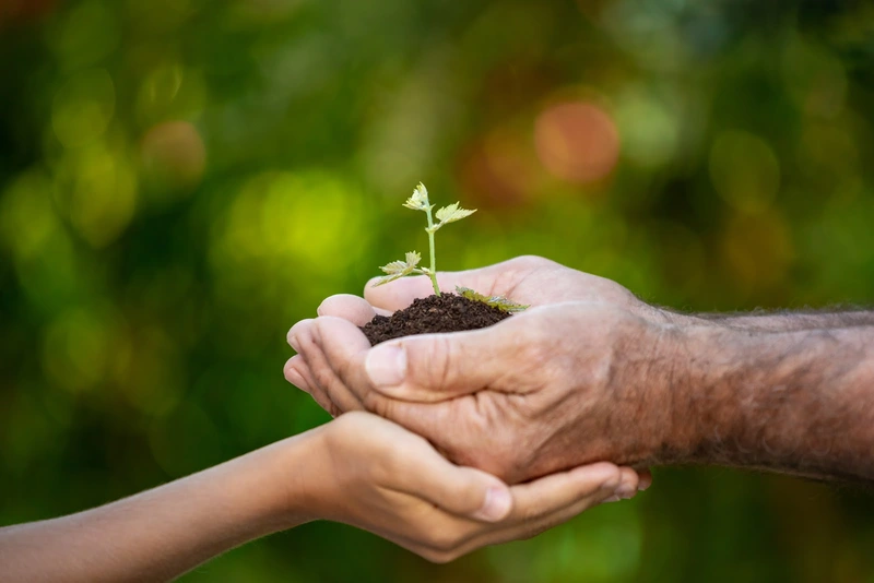 Betreuungs-Ritter – Bild 2