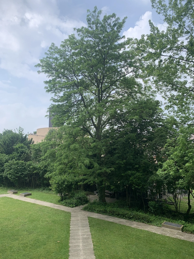 Seniorenhaus An St. Theodor – Bild 3