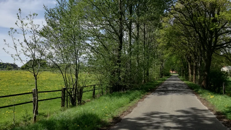 Hauskrankenpflegedienst Behrens – Bild 4