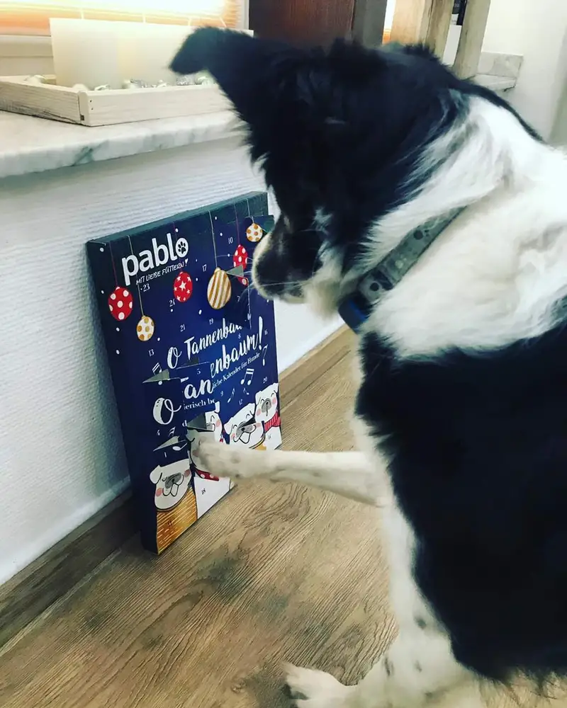 PFLEGEleicht – Bild 2