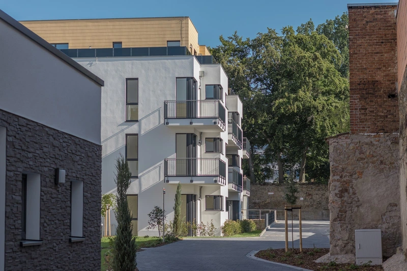 aiutanda Pflegebienen Bautzen – Bild 4