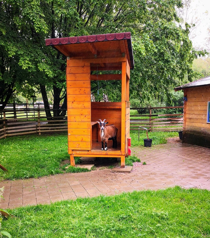 Habila Assistenzagentur Reutlingen – Bild 2