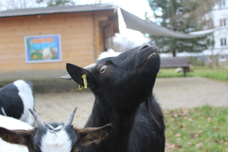 Habila Assistenzagentur Reutlingen – Bild 3