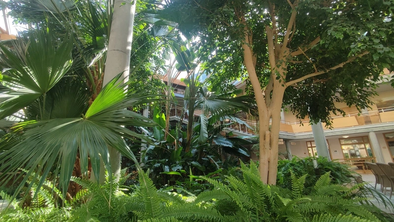 Nikolaus Cusanus Mobil Ambulante Pflege – Bild 4