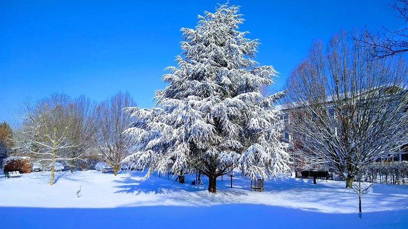 Wohnanlage Sophienhof – Bild 2