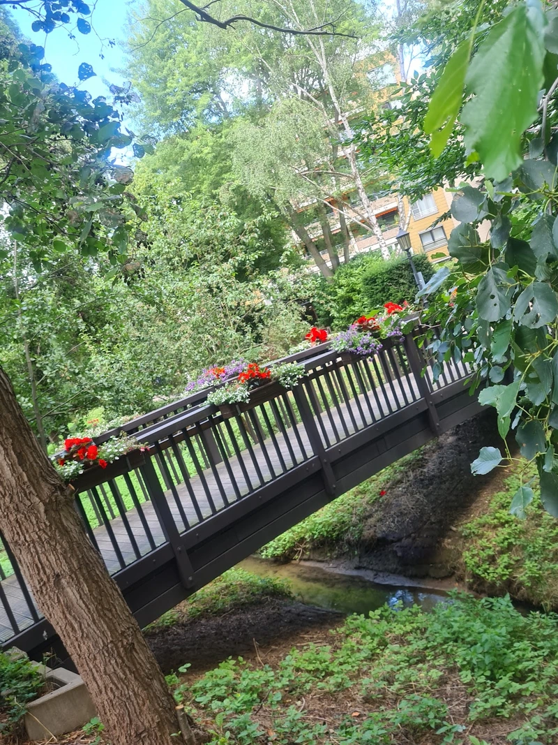 Senioren-Wohnstift Beethoven Ambulanter Dienst – Bild 4