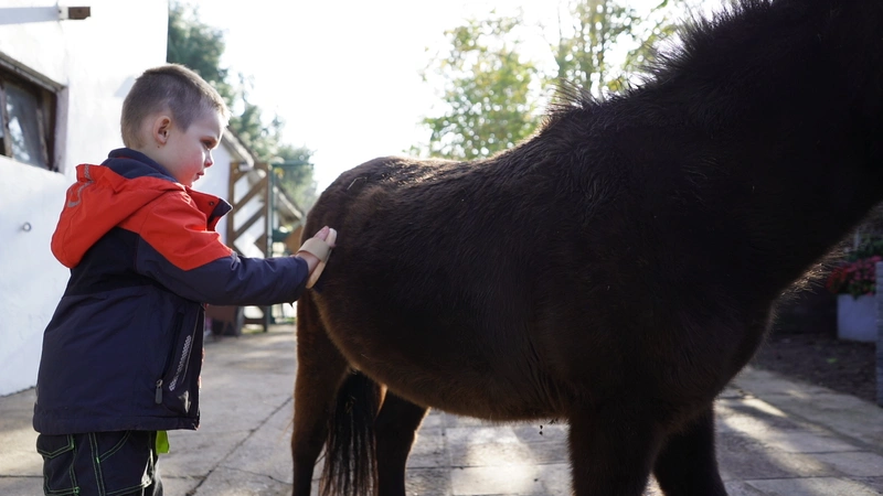 Lebenshilfe Saarpfalz Ambulanter Pflegedienst – Bild 3