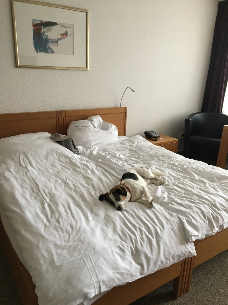 Senioren Wohnheim Brühl Ambulanter Dienst – Bild 2