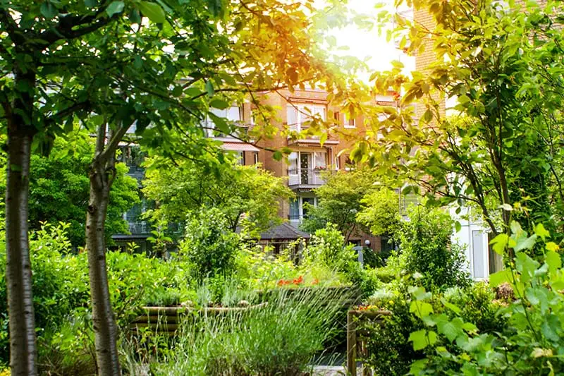 Seniorenzentrum Siegburg Ambulante Pflege – Bild 4