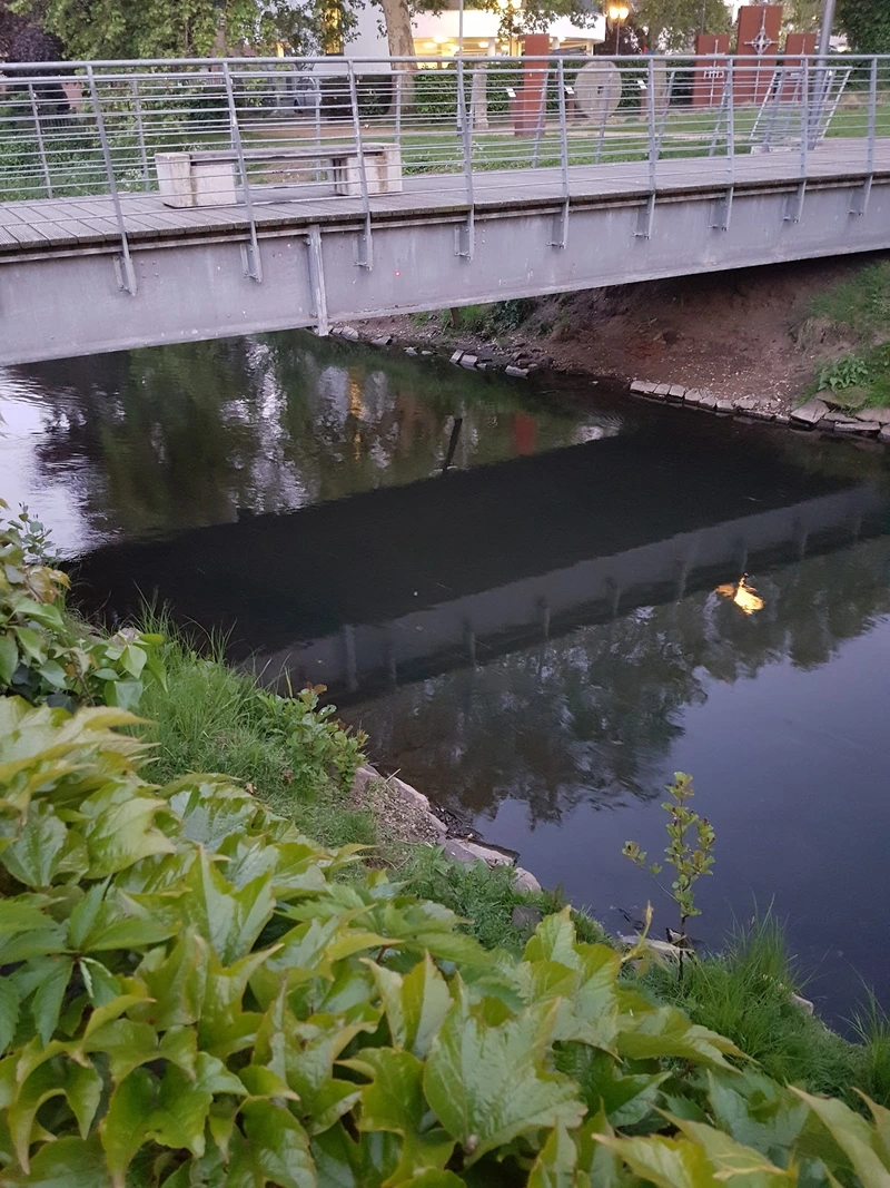 Diakoniestation im Kirchenkreis Kleve – Bild 3