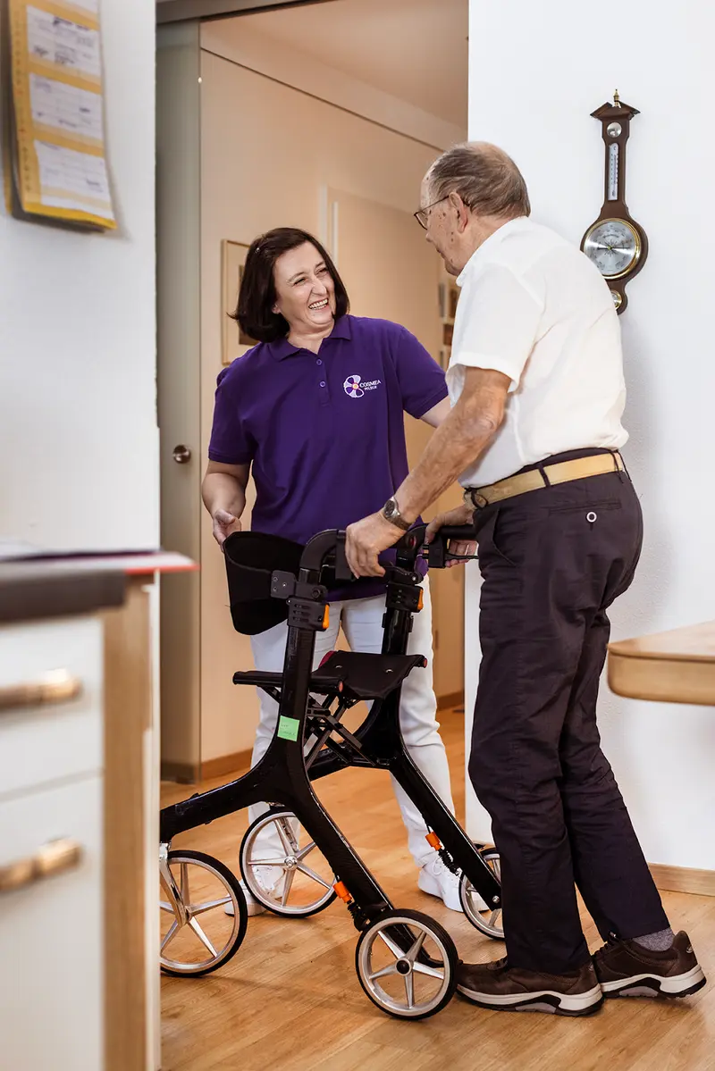 Cosmea Pflege Rhein-Erft – Bild 3