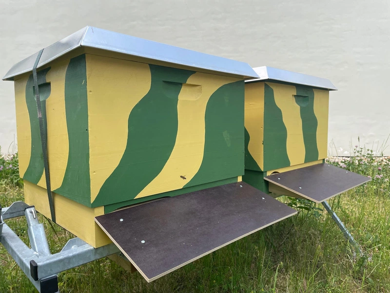 Ambulantes Pflegeteam Schwester Maike Janusic – Bild 3