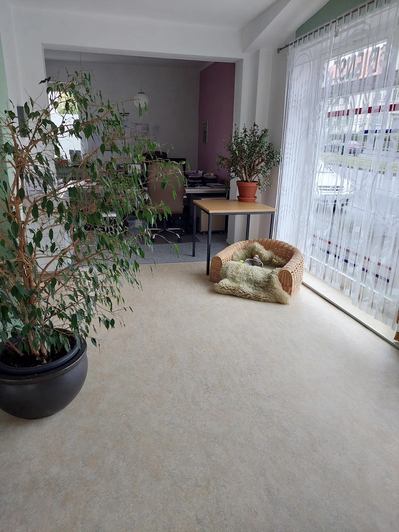 Cura Plus ambulanter Pflegedienst – Bild 2