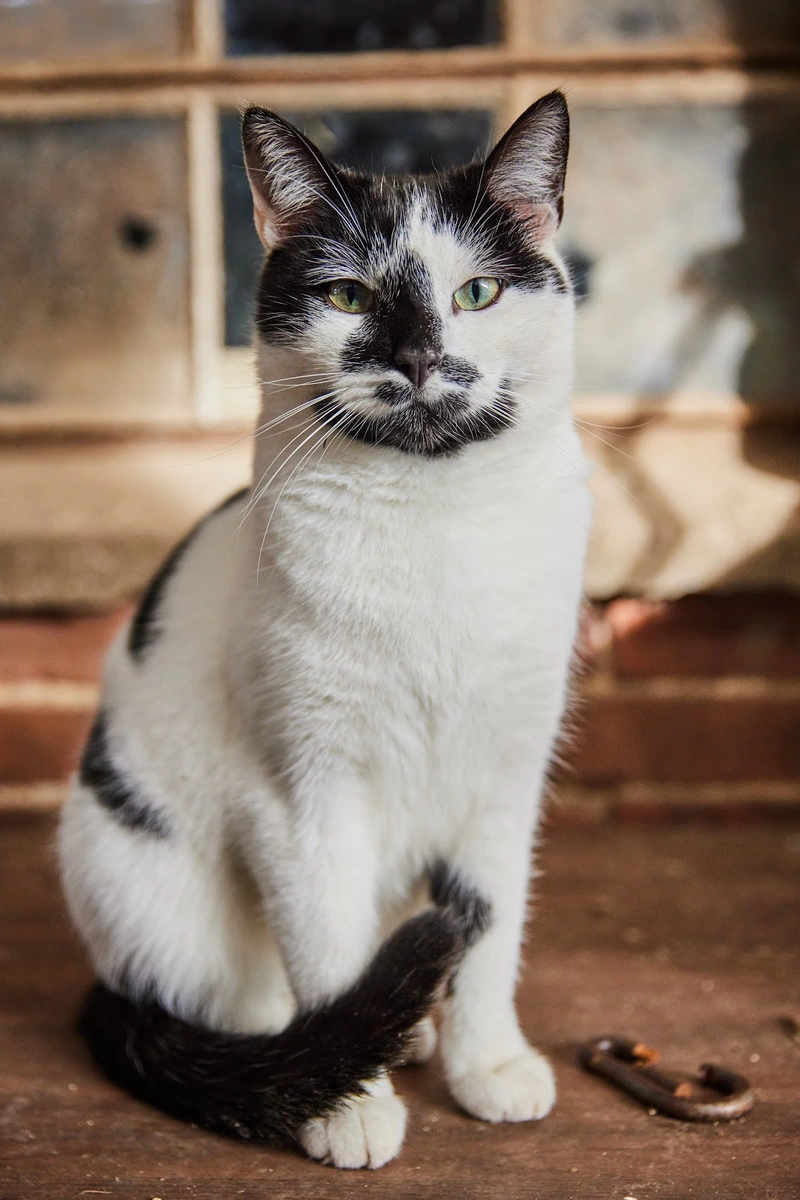 Pflege und Betreuungsdienst Up de Heid – Bild 5