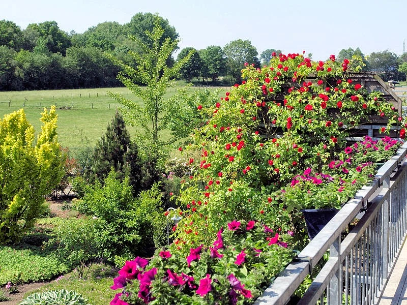 Häuslicher Krankenpflegedienst Meis – Bild 2