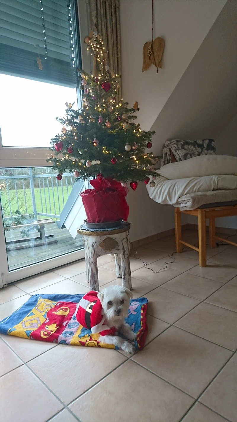 Häuslicher Krankenpflegedienst Meis – Bild 4