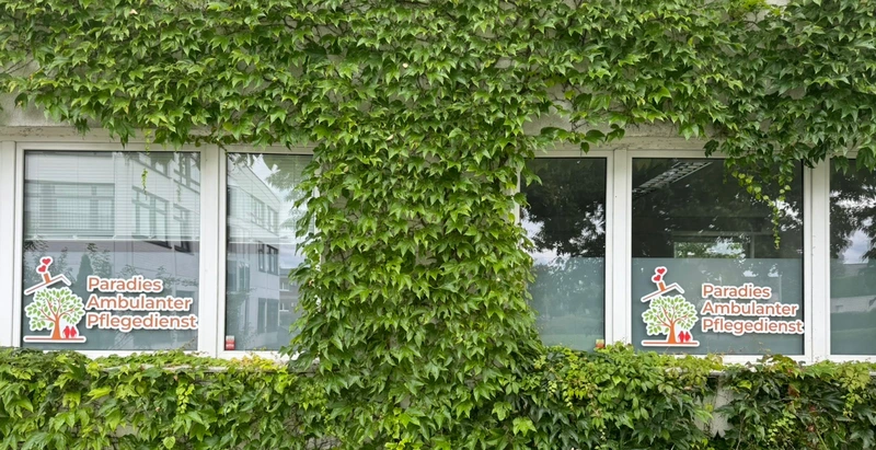 Paradies Pflegedienst Mohamad Al Shawi – Bild 1