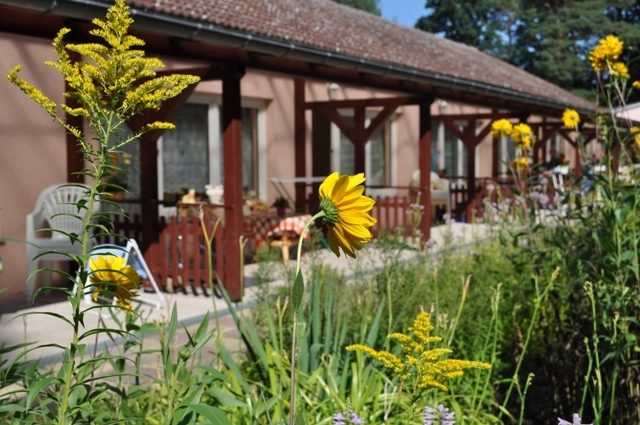 Hauskrankenpflege Eckert – Bild 2