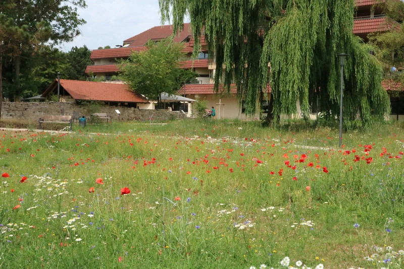 SamariterMobil Diakonie Sozialstation Aalen – Bild 2