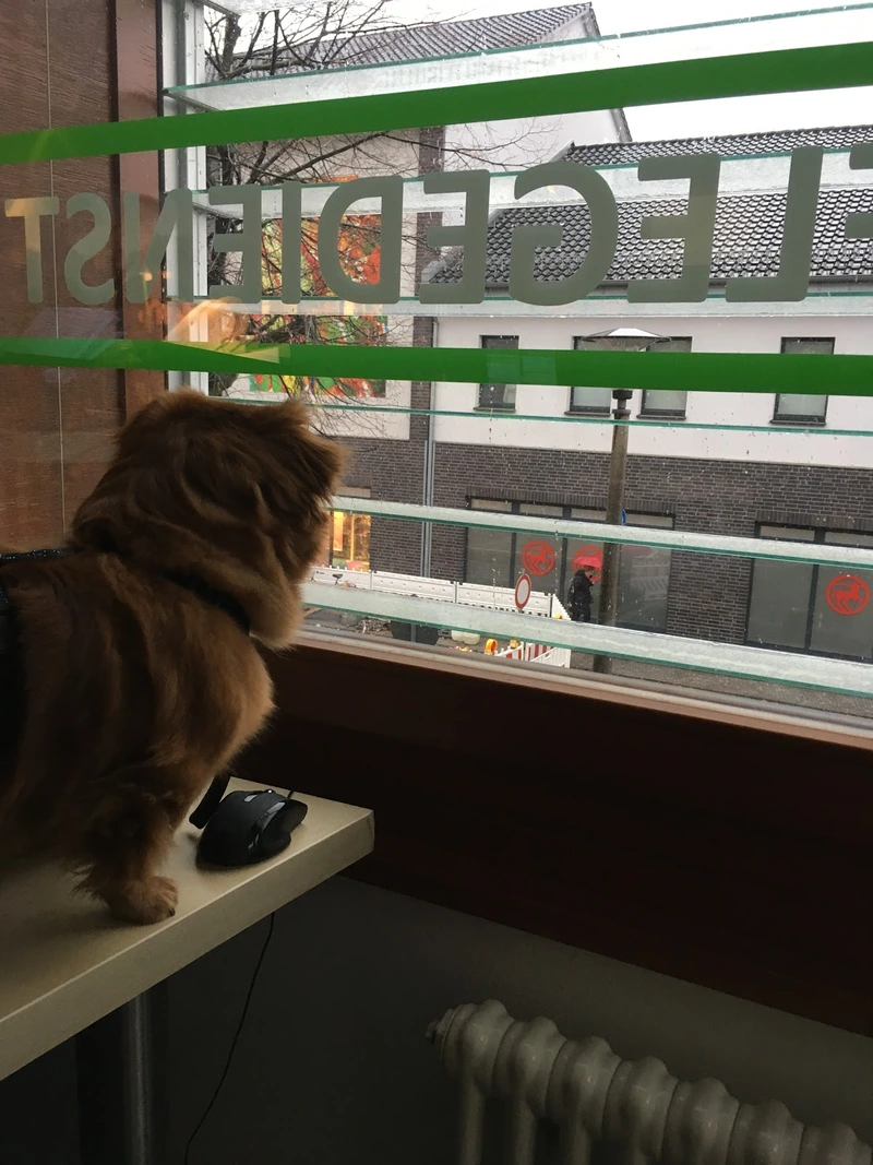 Ambulante Pflege Lisanne – Bild 4