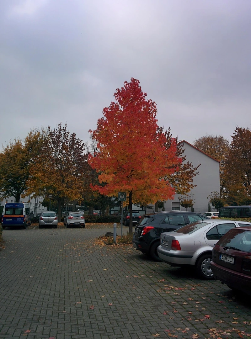 Emmaus Mobil – Bild 4