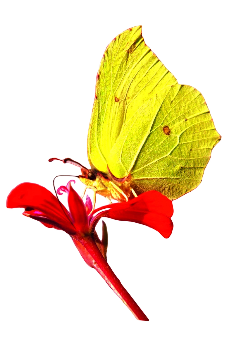 Ora Cura - Intensiver Pflegedienst – Bild 2