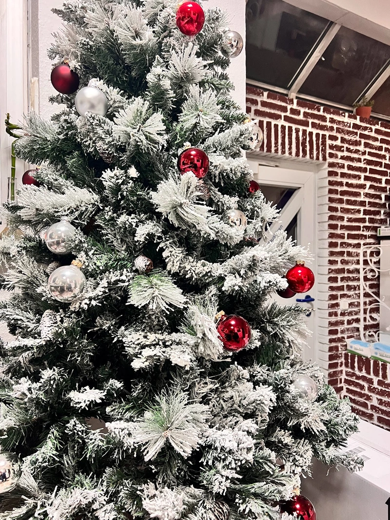 ABC Pflegeteam – Bild 3