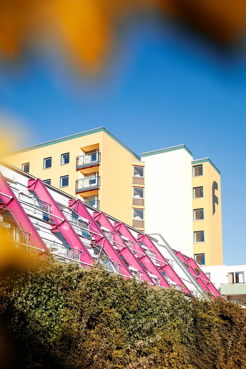 Ambulante Pflege Rosenblatt – Bild 3