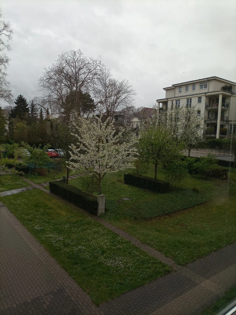 Altenpflegeheime Mannheim – Bild 4