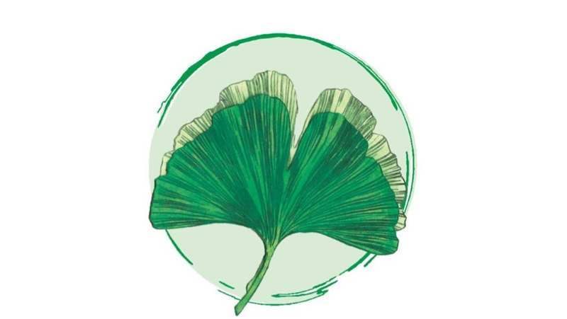 Intensivpflege Lebenskraft Eva Oswald – Bild 1